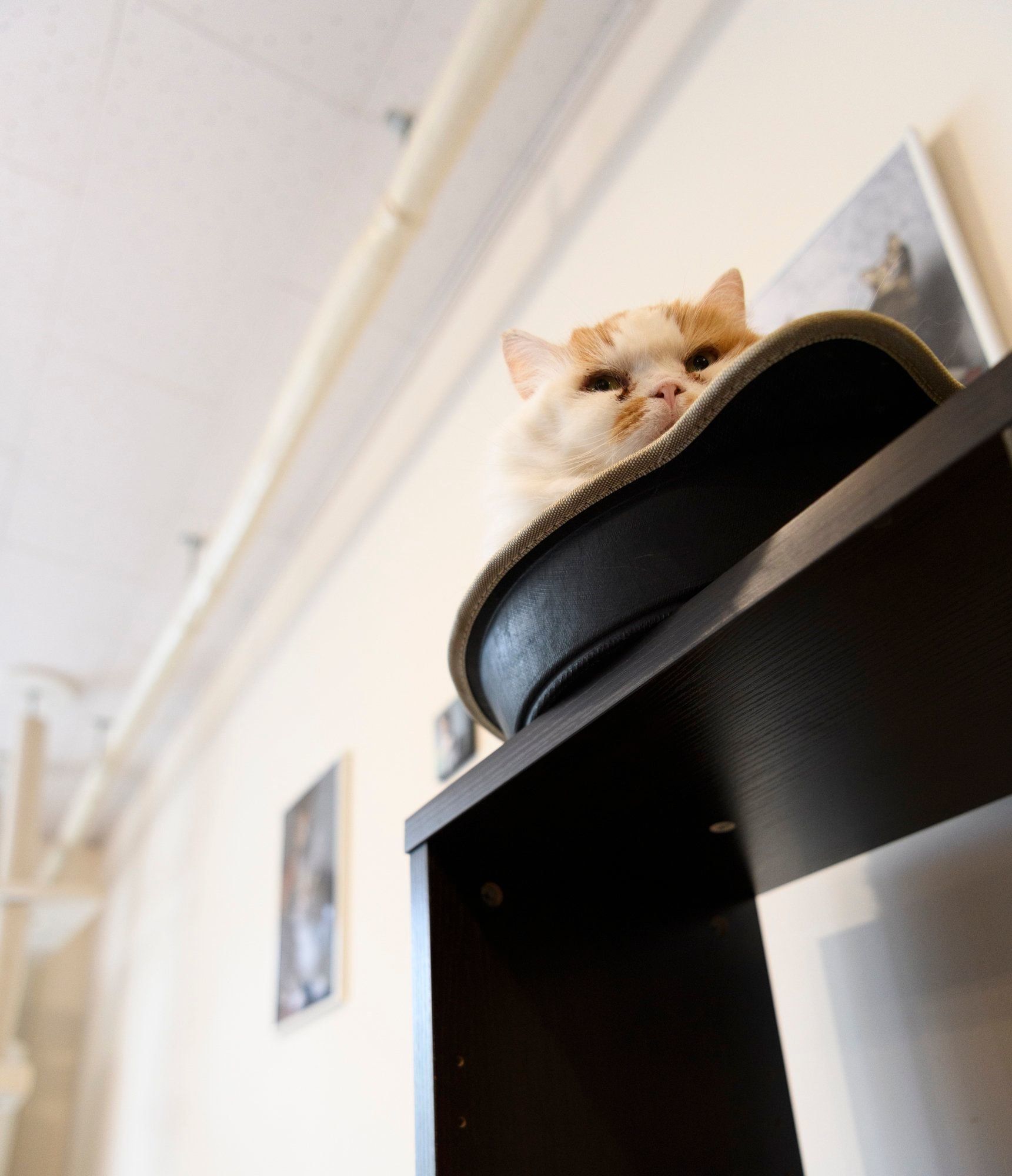 撮影／Akimasa Harad