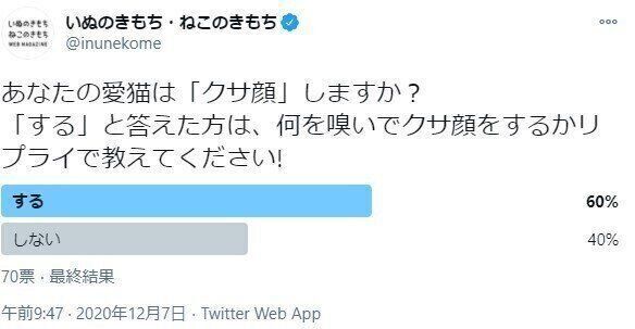 アンケート結果