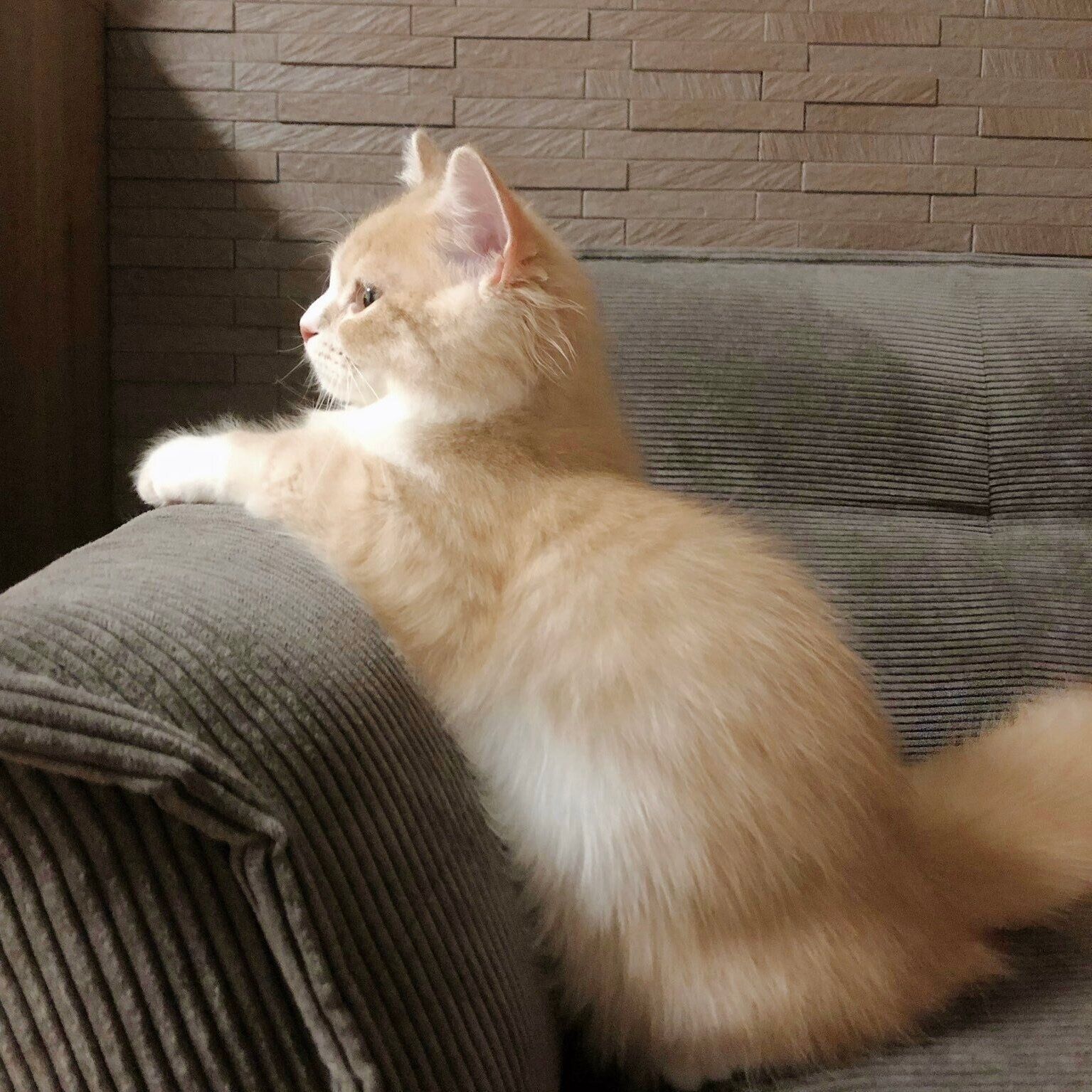 生後6カ月のころのぽてくん。