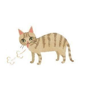 イラスト／片山智恵