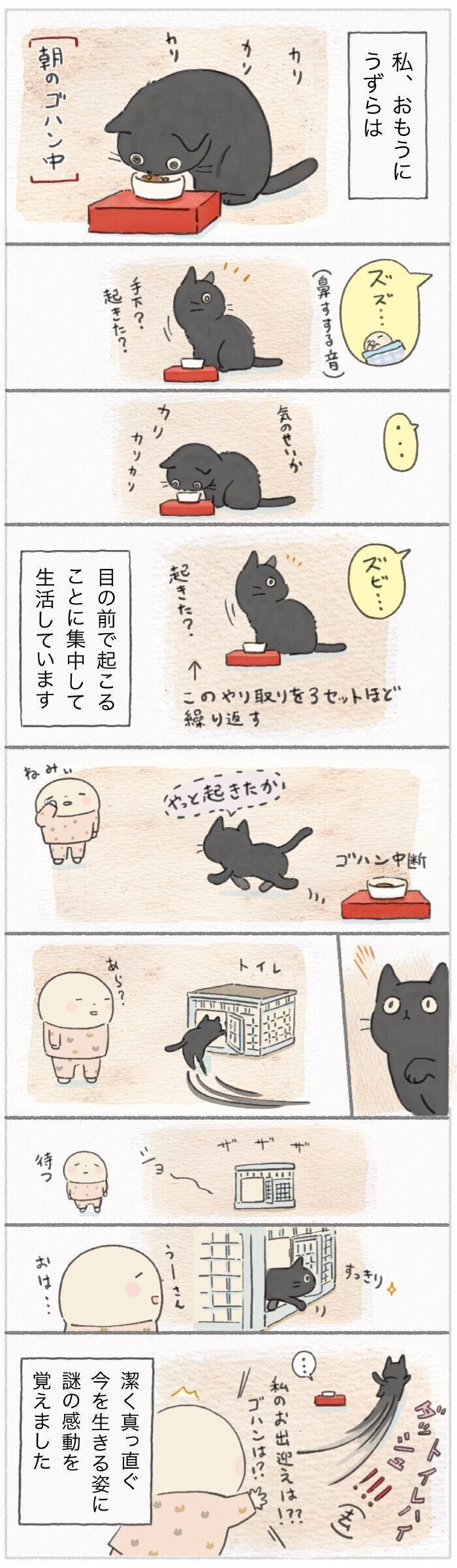 「ねこ連れ草」232話め