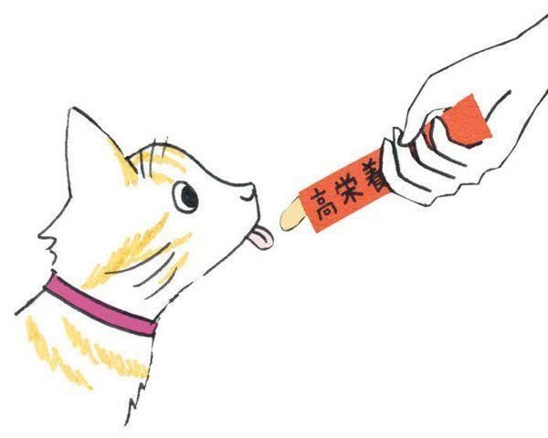 冬に注意したい病気「猫カゼ」とは