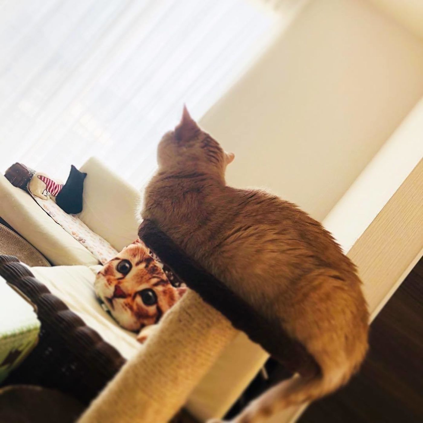 8wfxbjlenskolm 8wfxbjlenskolm