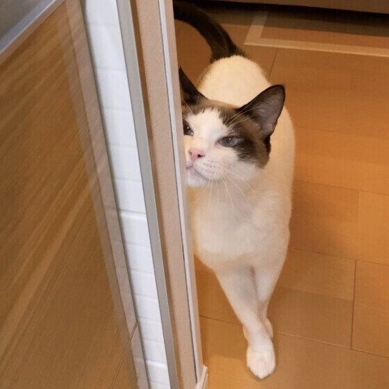 スリスリしている藍太郎ちゃん