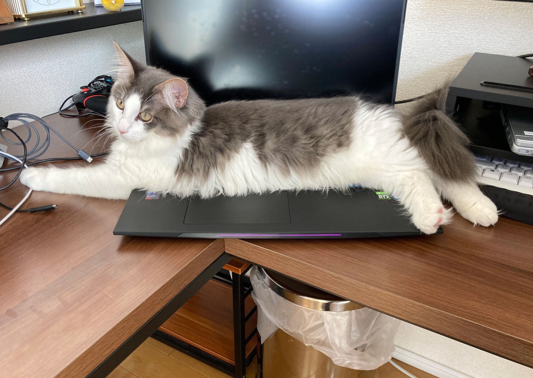ノートパソコンの上に乗るライムくん