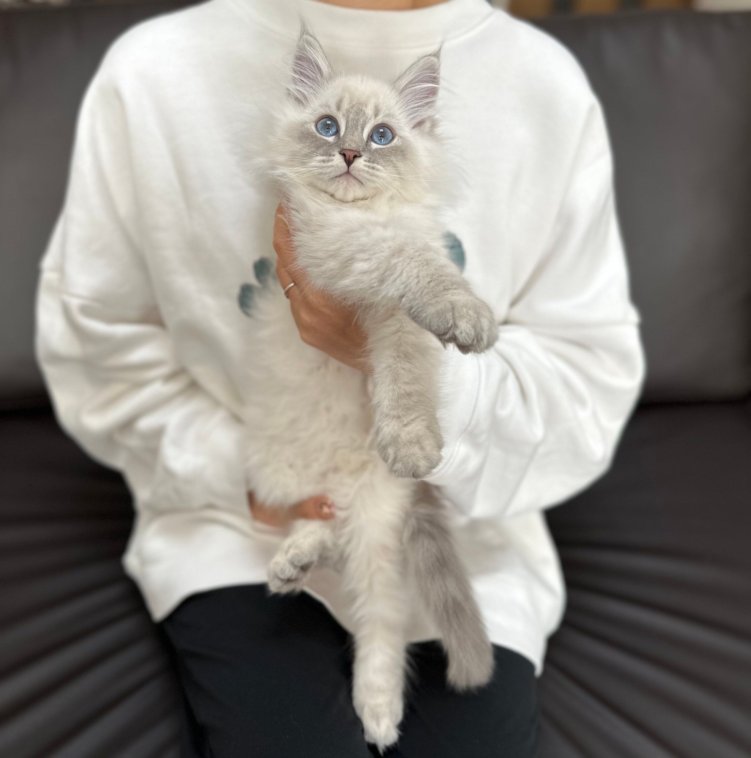 生後3カ月頃のいれぶんくん