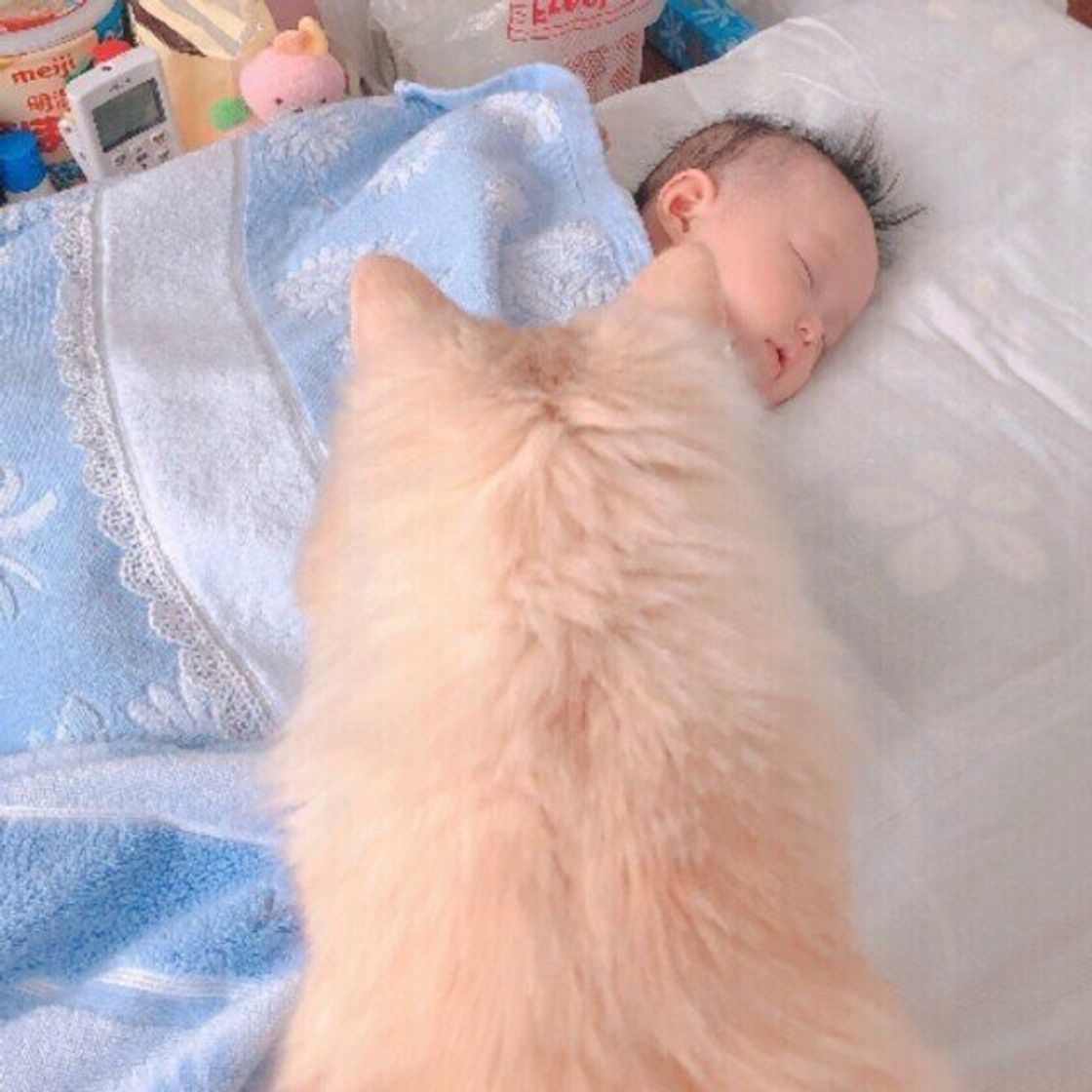 猫と赤ちゃんは仲良くできる 猫の不思議な行動とその意味 ねこのきもちweb Magazine 猫と赤ちゃんは仲良くできる 猫の不思議な行動とその意味 ねこのきもちweb Magazine