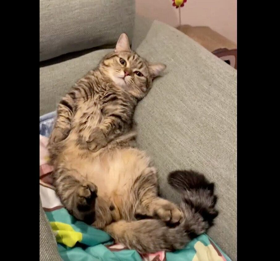 目を開けるうどんくん