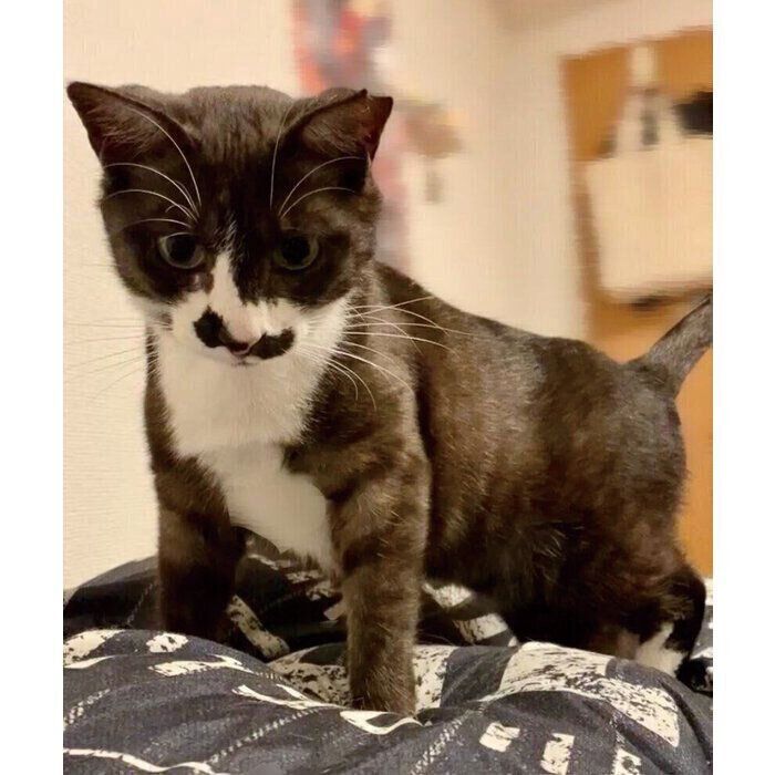 お迎えしたばかりのころの結月ちゃん。