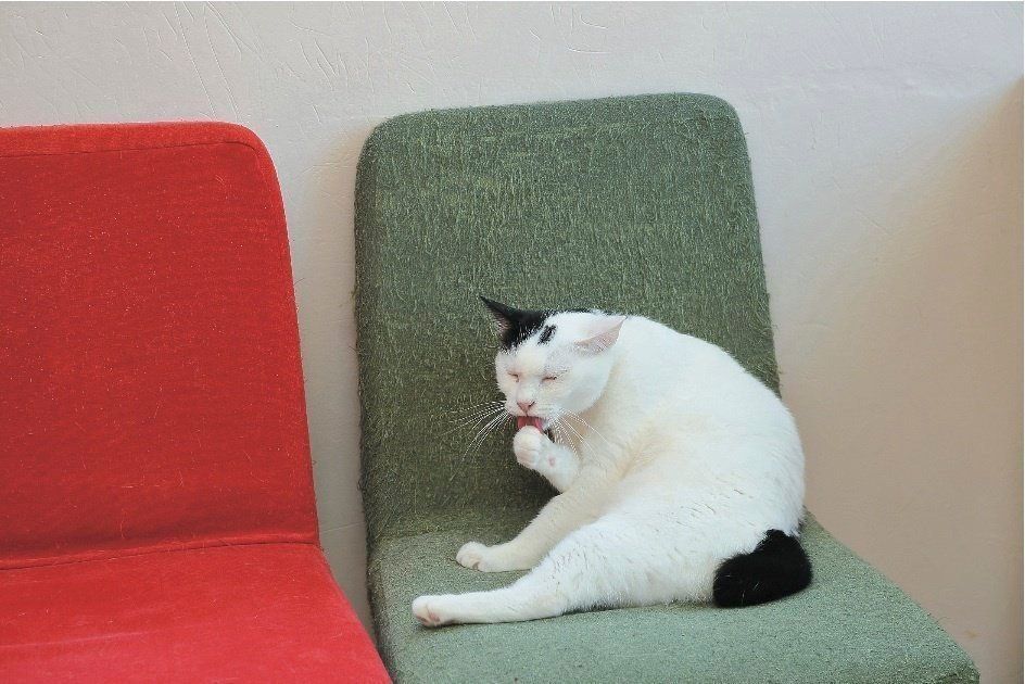 撮影／尾﨑たまき