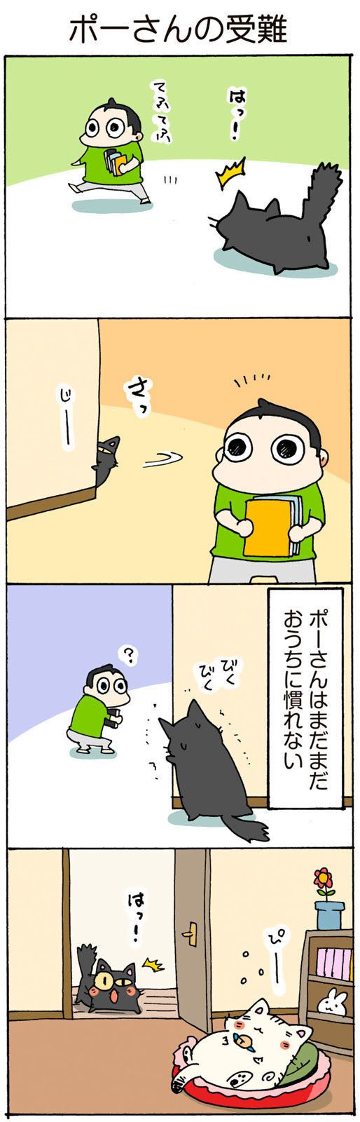 ©片倉真二/講談社