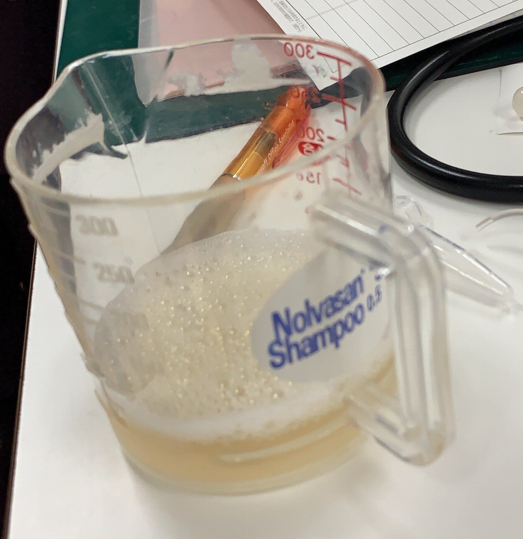 画像／ねこのきもち2020年２月号『猫の病気、そこが知りたい！』