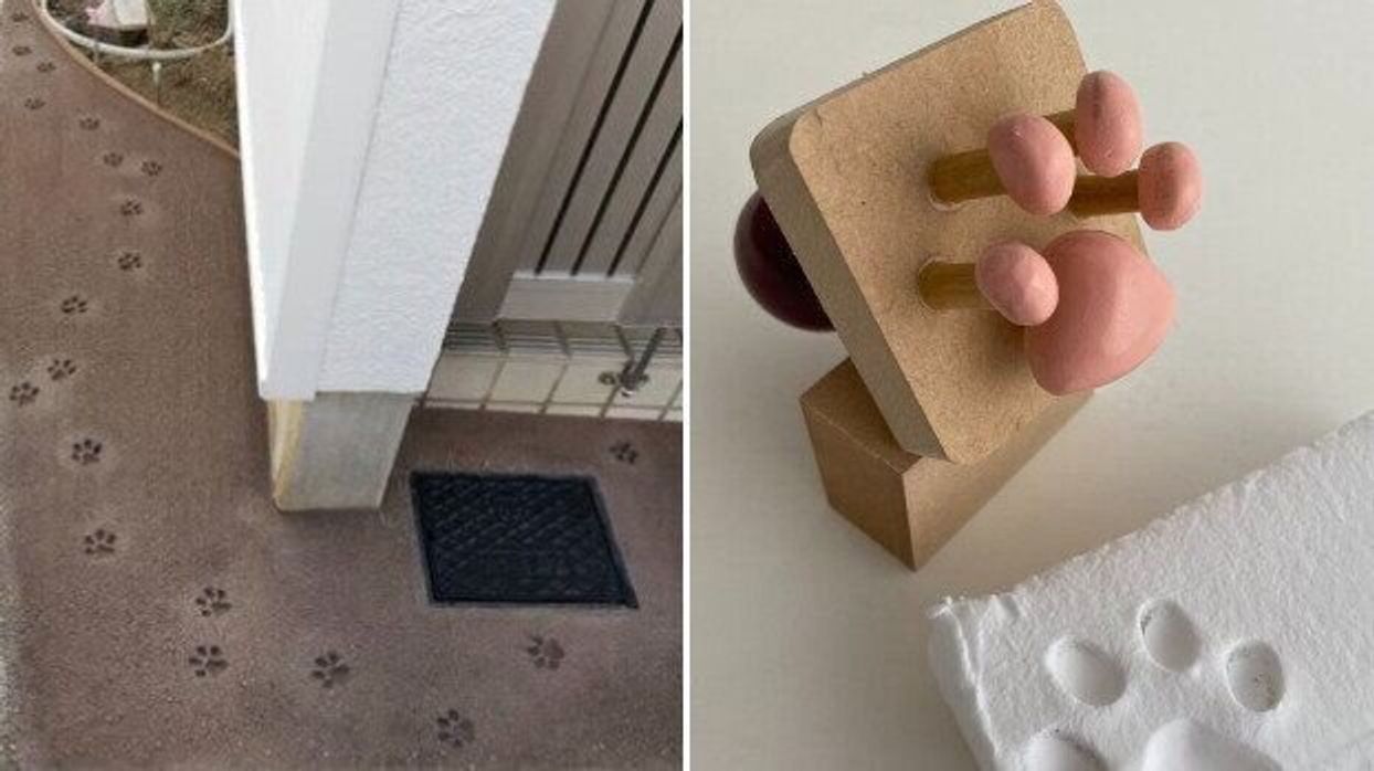 本物そっくり 猫の足跡 を完全再現できる肉球スタンプが話題 ねこのきもちweb Magazine 本物そっくり 猫の足跡 を完全再現できる肉球スタンプが話題 ねこのきもちweb Magazine