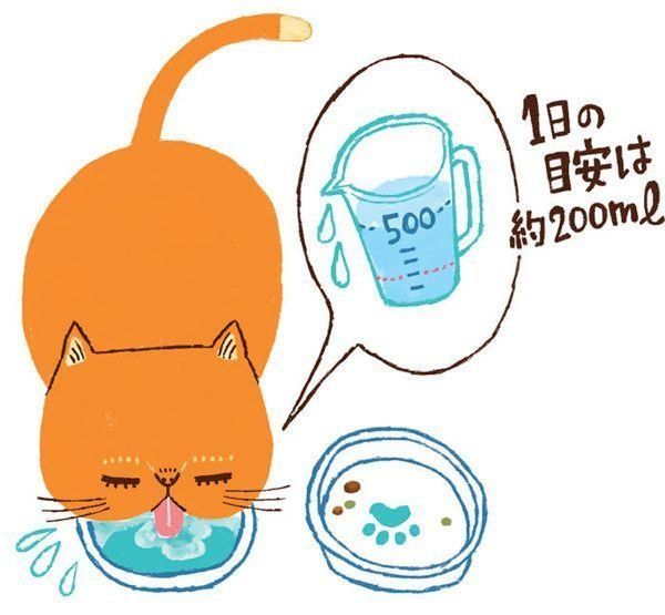 ○○がある・ないのサインでわかる猫の病気