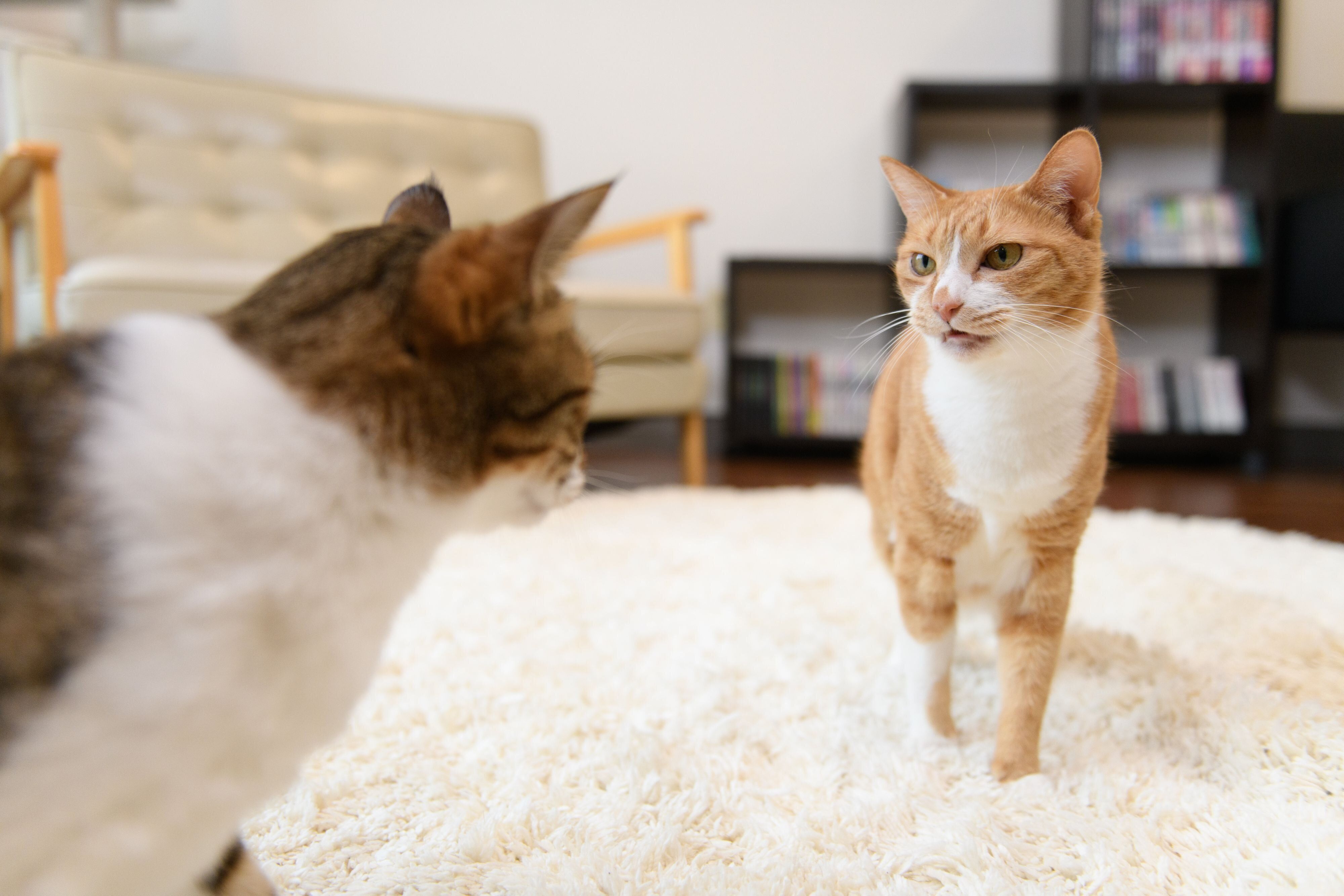 撮影／Akimasa Harada