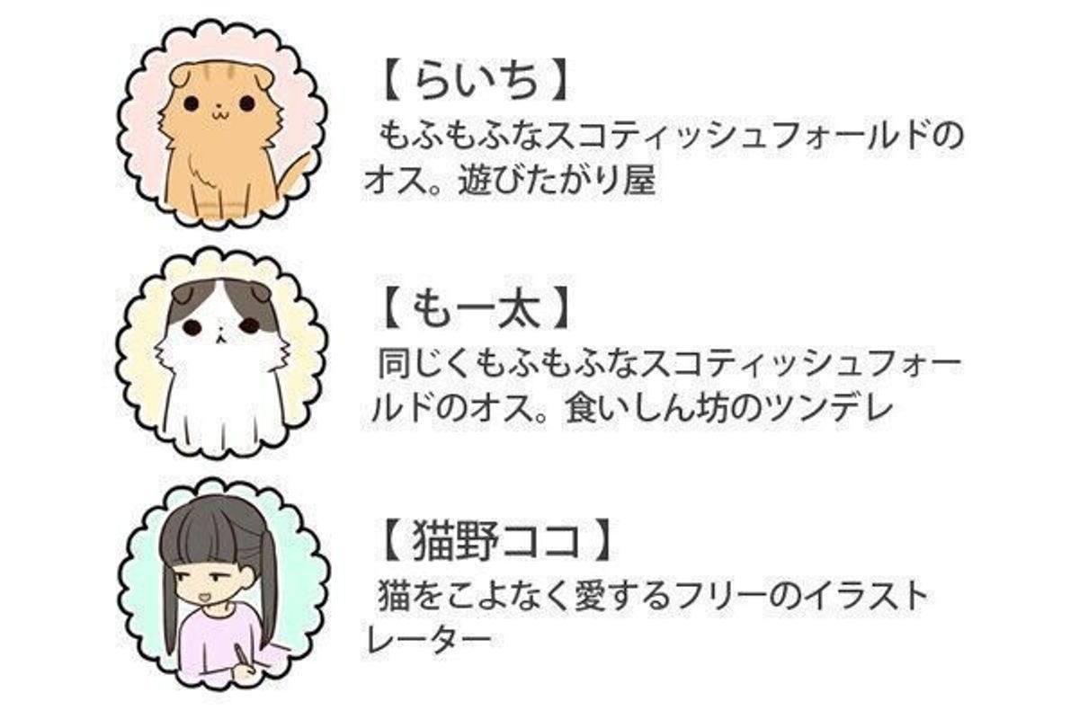 昔からの妙な癖 あえて一粒残す意味とは 連載 もふもふスコたん 237 ねこのきもちweb Magazine 昔からの妙な癖 あえて一粒残す意味とは 連載 もふもふスコたん 237 ねこのきもちweb Magazine