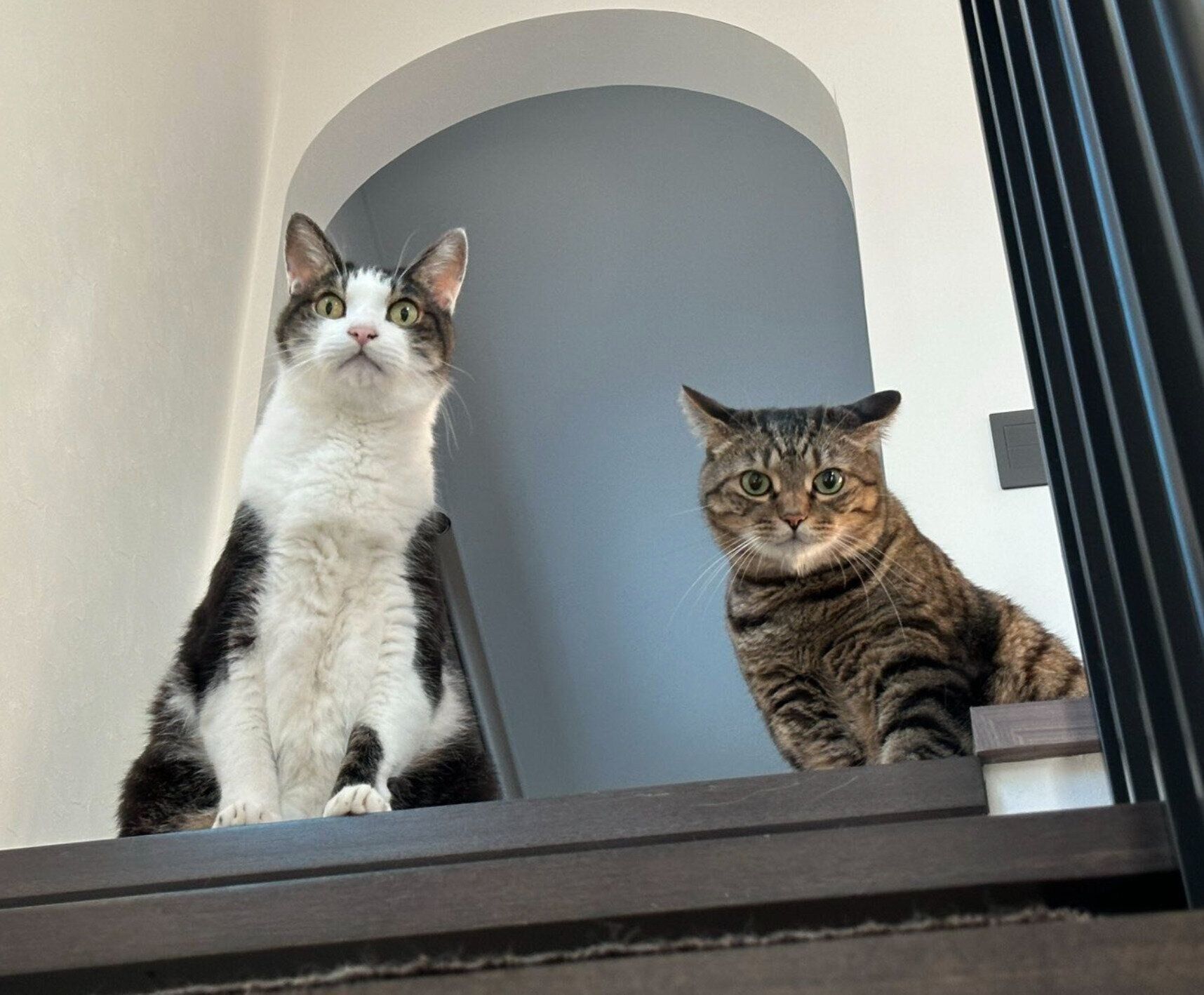 れおくん、もかちゃん