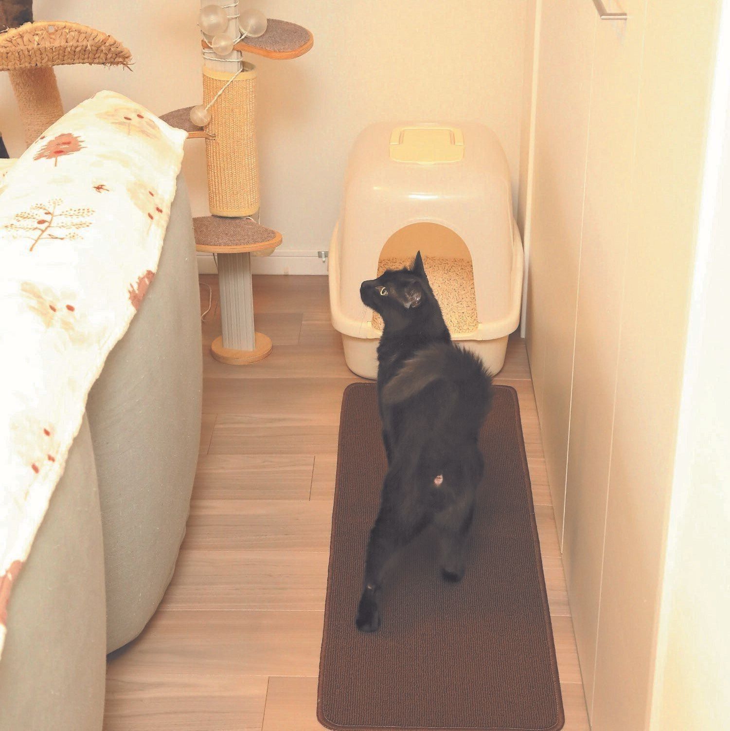 寒い季節の 猫トイレ の正しい置き方 場所を間違えると猫が病気になる可能性も ねこのきもちweb Magazine