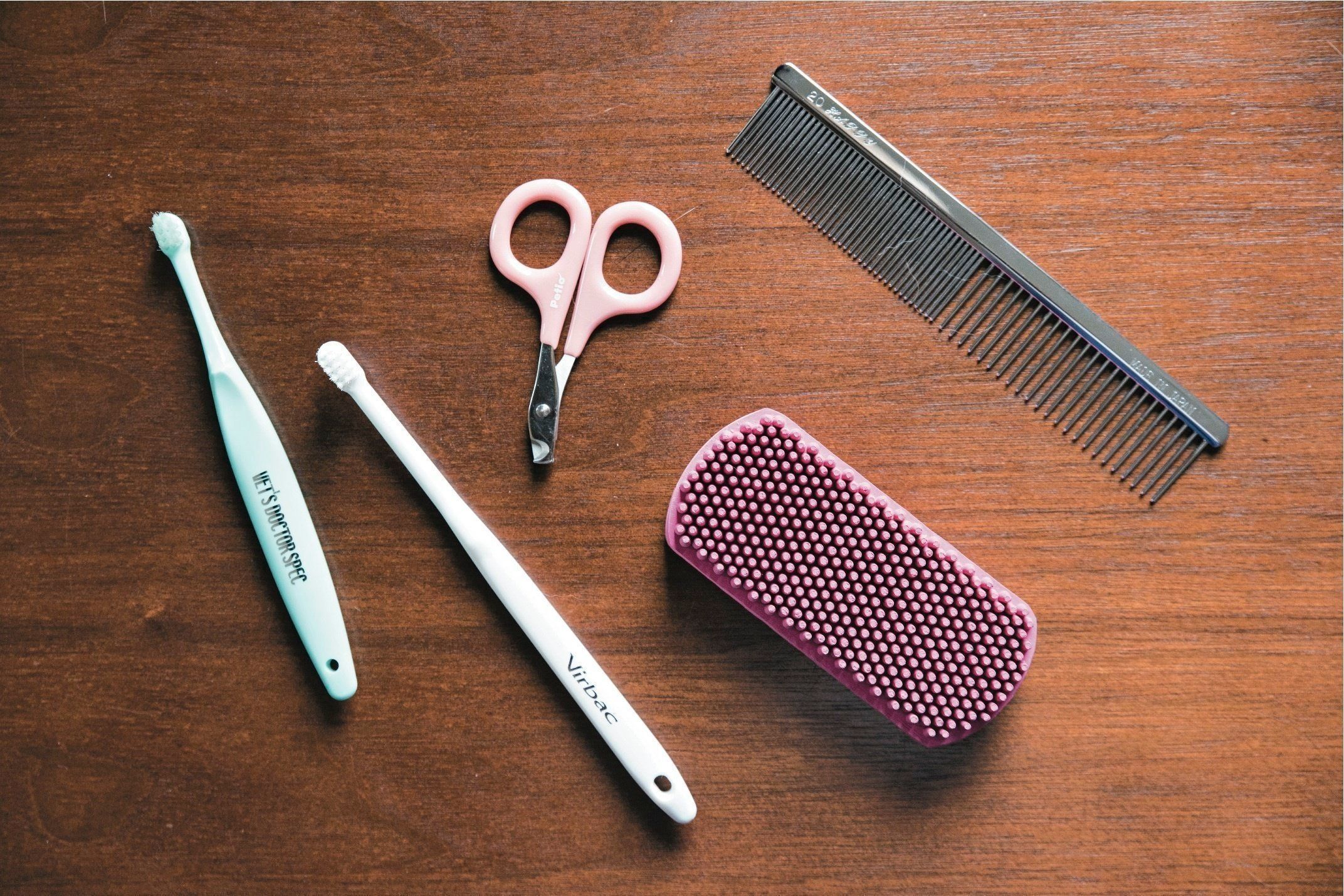 撮影／中川文作