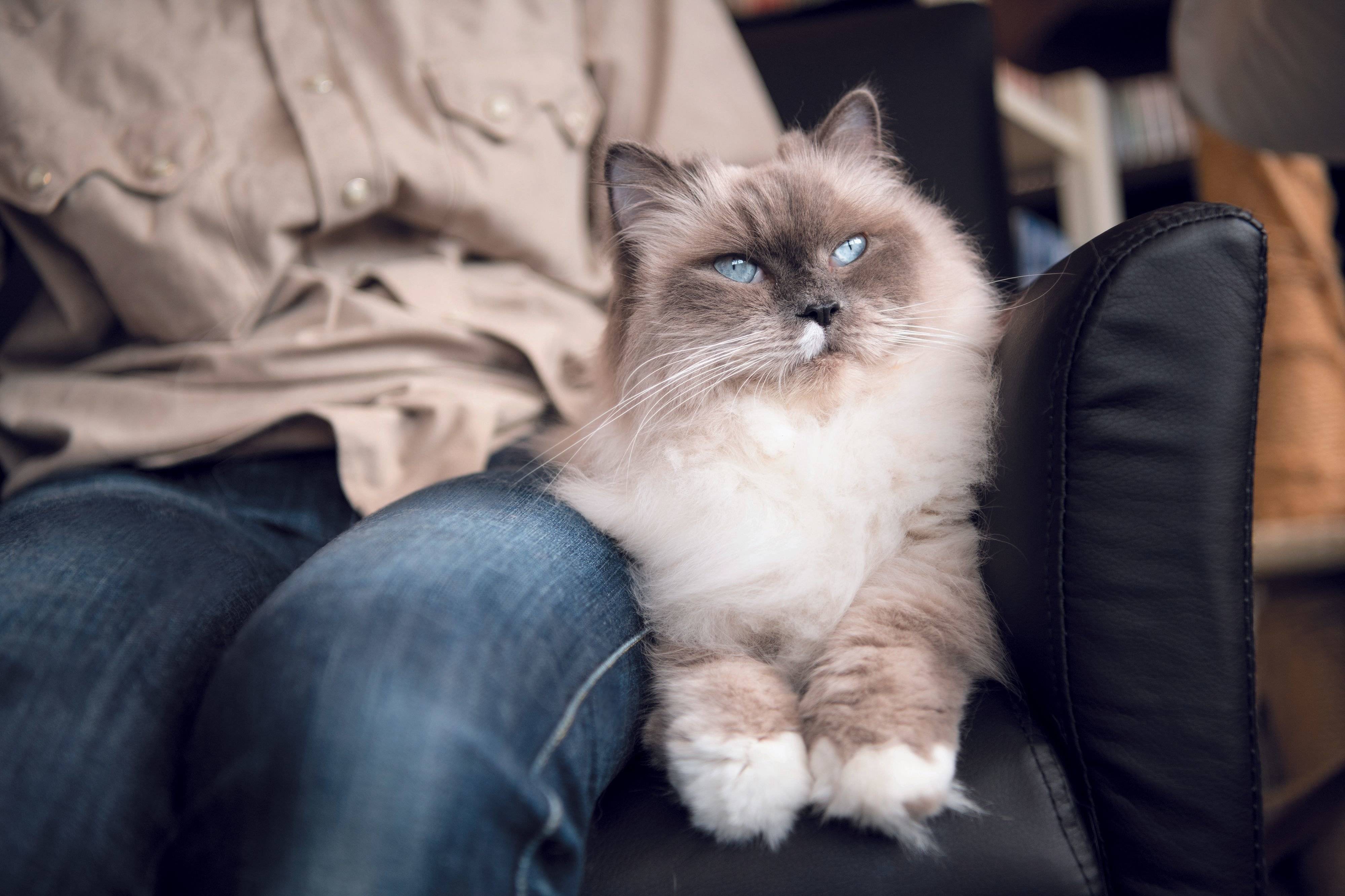 撮影／Akimasa Harada