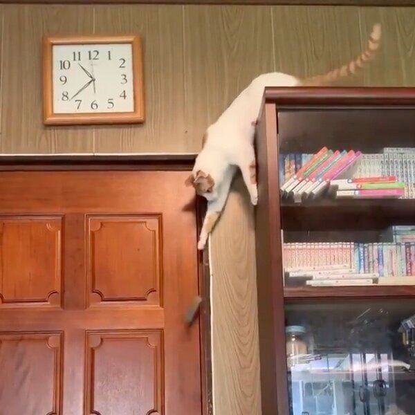 ドアを開けるアールくん