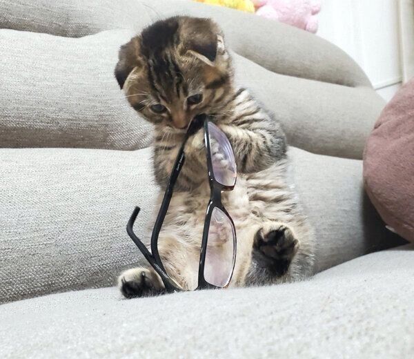 眼鏡が気になるまつたけちゃん