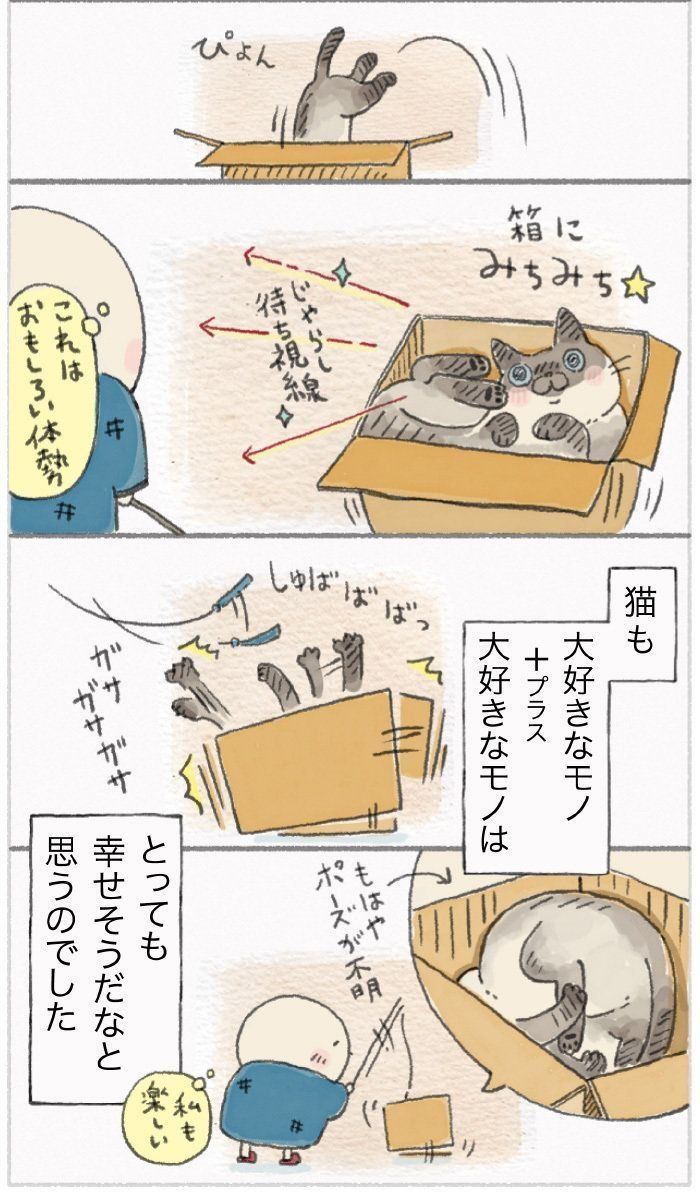 『ねこ連れ草』48話め②