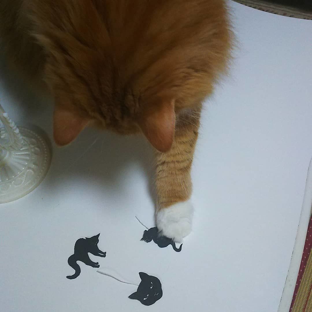 猫タグをちょいちょい