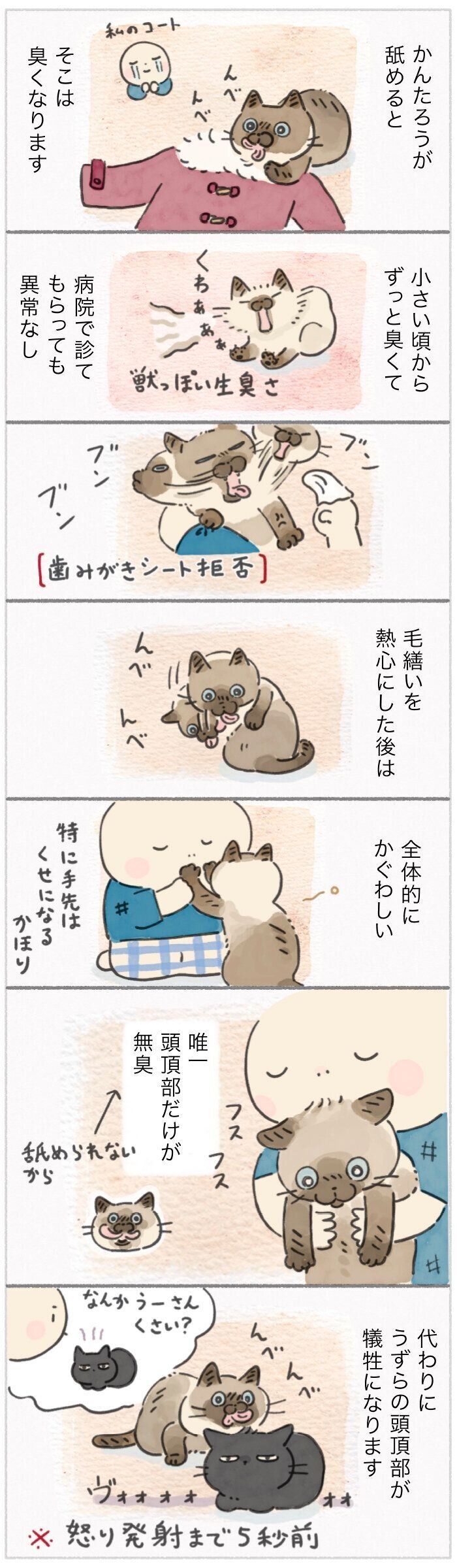 「ねこ連れ草」362話め