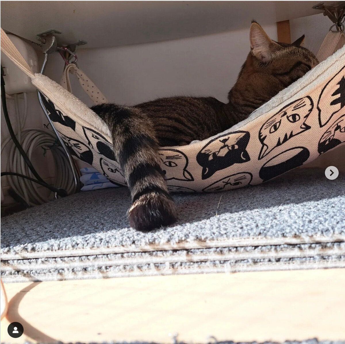 隠れ家ハンモック