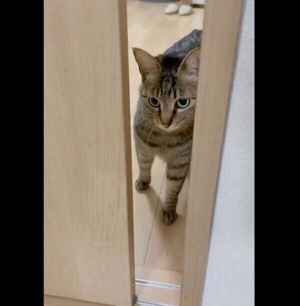 施術室の中に入りたい小豆ちゃん