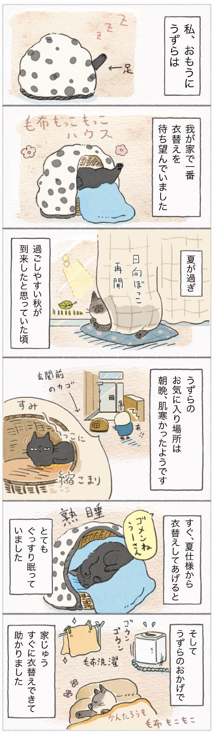 「ねこ連れ草」145話め