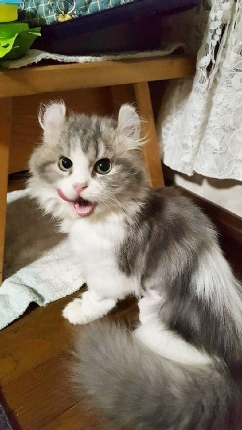 6axkqeibxq0dim 6axkqeibxq0dim