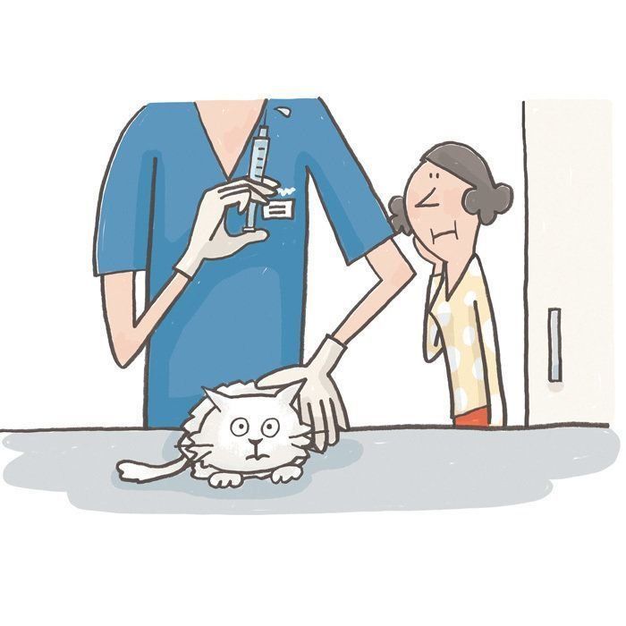 イラスト／上垣厚子