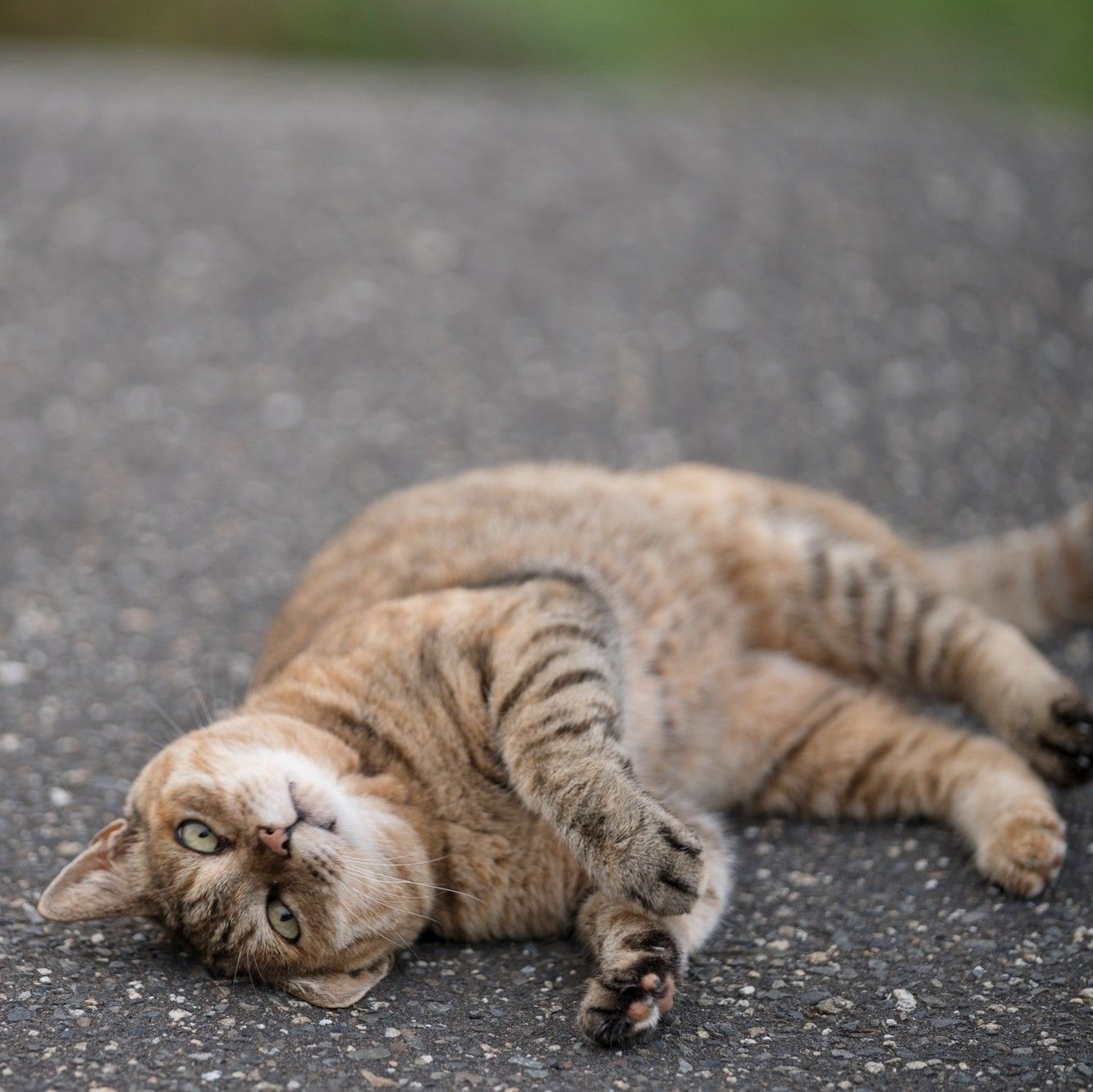 撮影／石原さくら