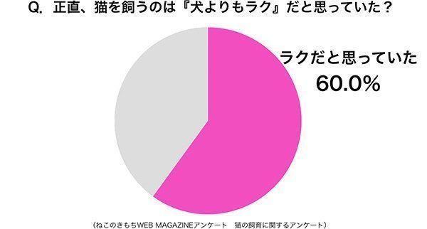 グラフ：正直、猫を飼うのは「犬よりもラク」だと思っていた？