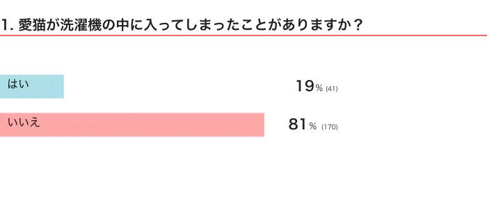 愛猫が洗濯機の中に入ってしまったことがある？
