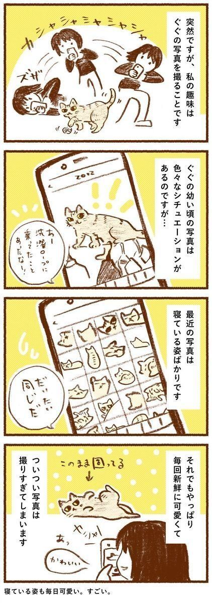 「しまねこぐぐ」vol.3