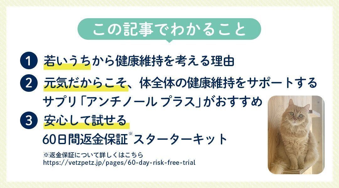 この記事でわかること