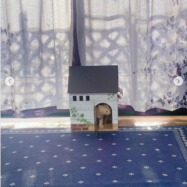 猫のためのDIY作品