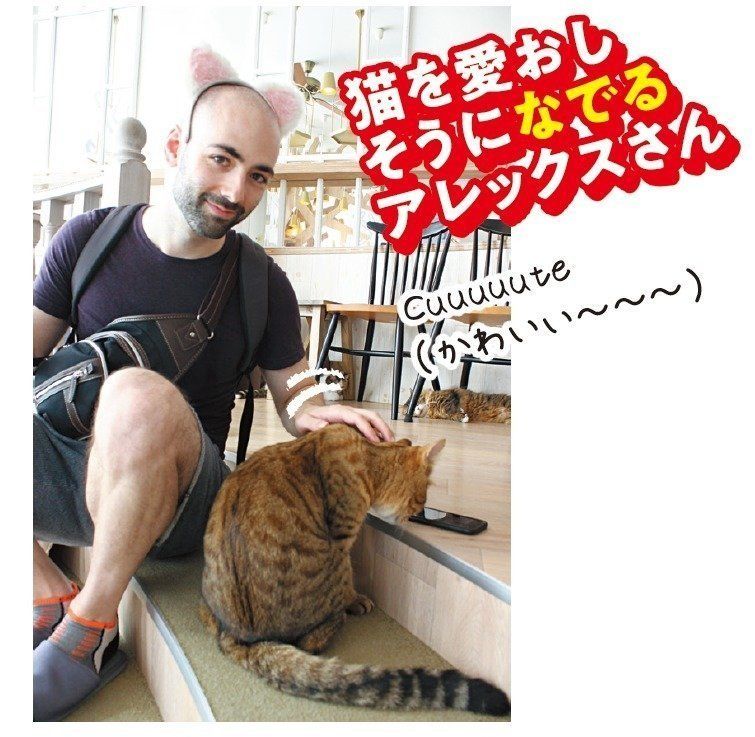 画像／ねこのきもち2018年11月号