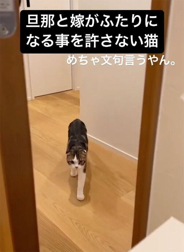 文句を言うこたろうくん