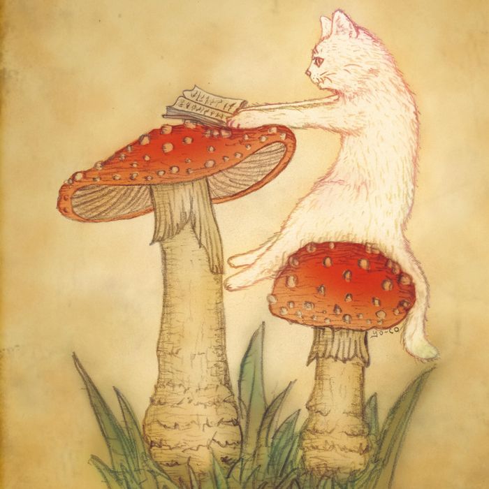 13.CATS.WORKS × YO-CO作品