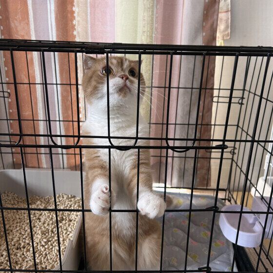 ミヌエットのうにくん♪