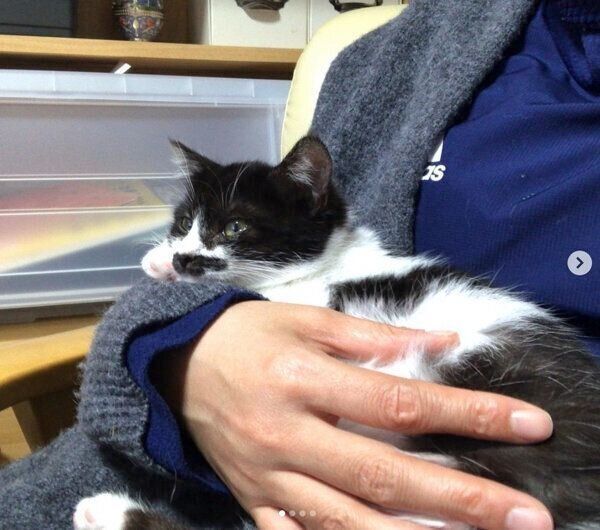 甘えるむーちゃん