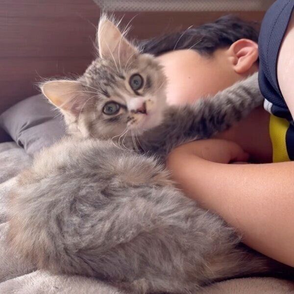 息子くんをギュッと抱きしめるふわくん