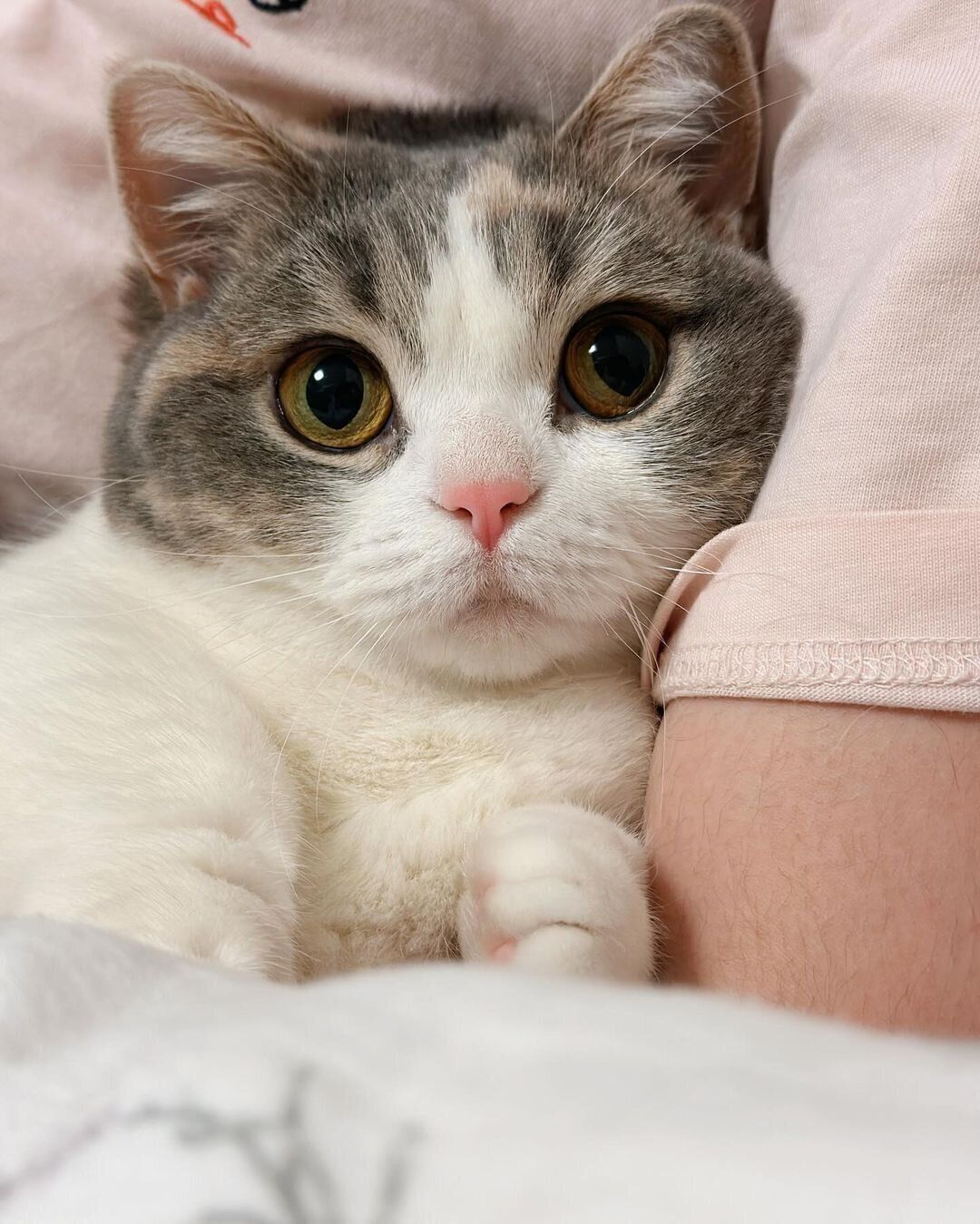 抱っこしてもらうみおちゃん