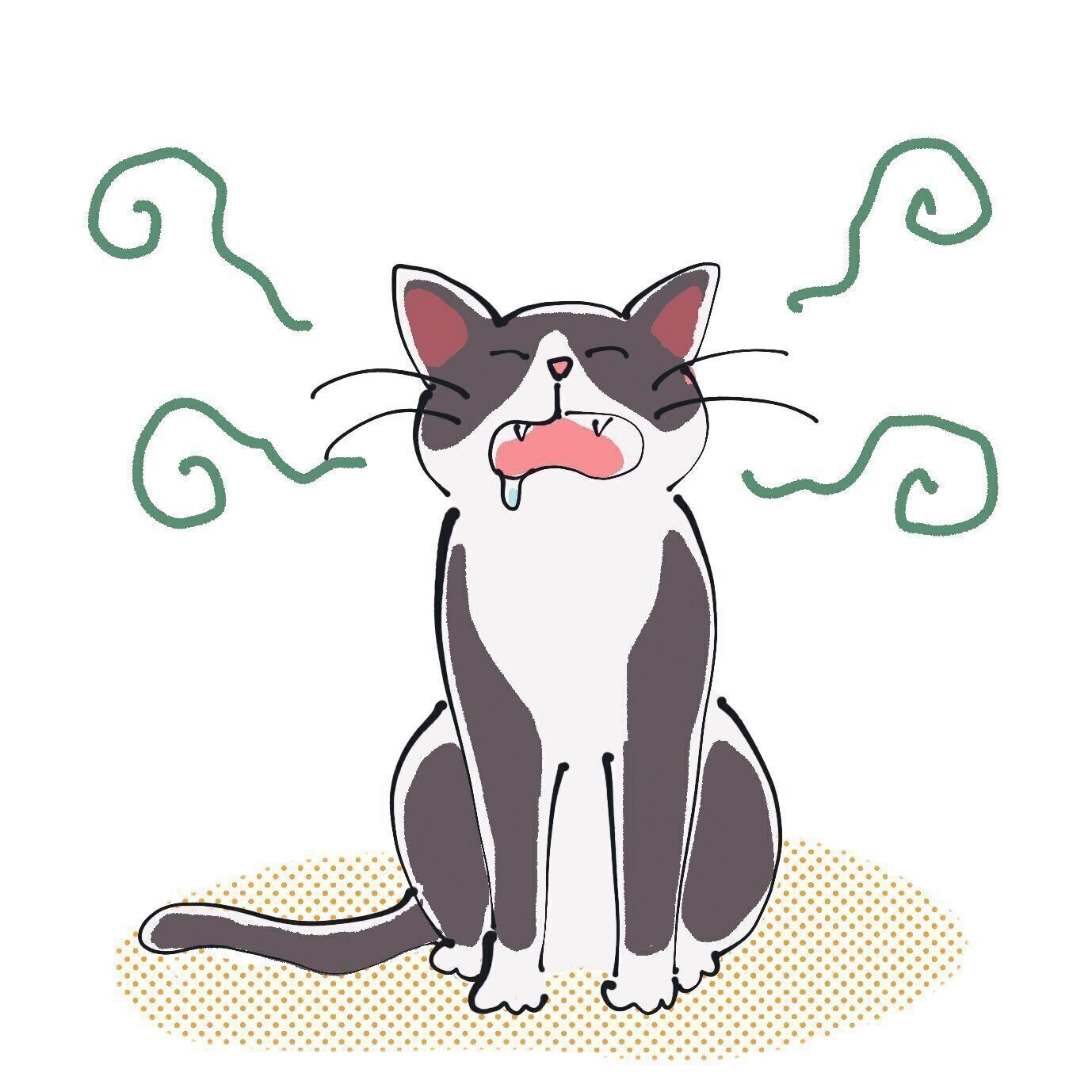 画像／はなさきロージー