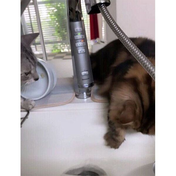 水を掴みたいこいちゃくん