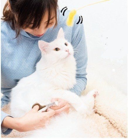 撮影／中川文作